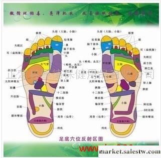 供應厚德漢方中英文足貼降壓降糖新產品-降壓降血脂排毒足貼工廠,批發,進口,代購