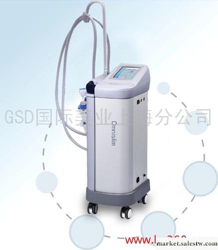 供應GSD 光電冰雕形體管理系統GSD 光電冰雕形體管理系統批發・進口・工廠・代買・代購