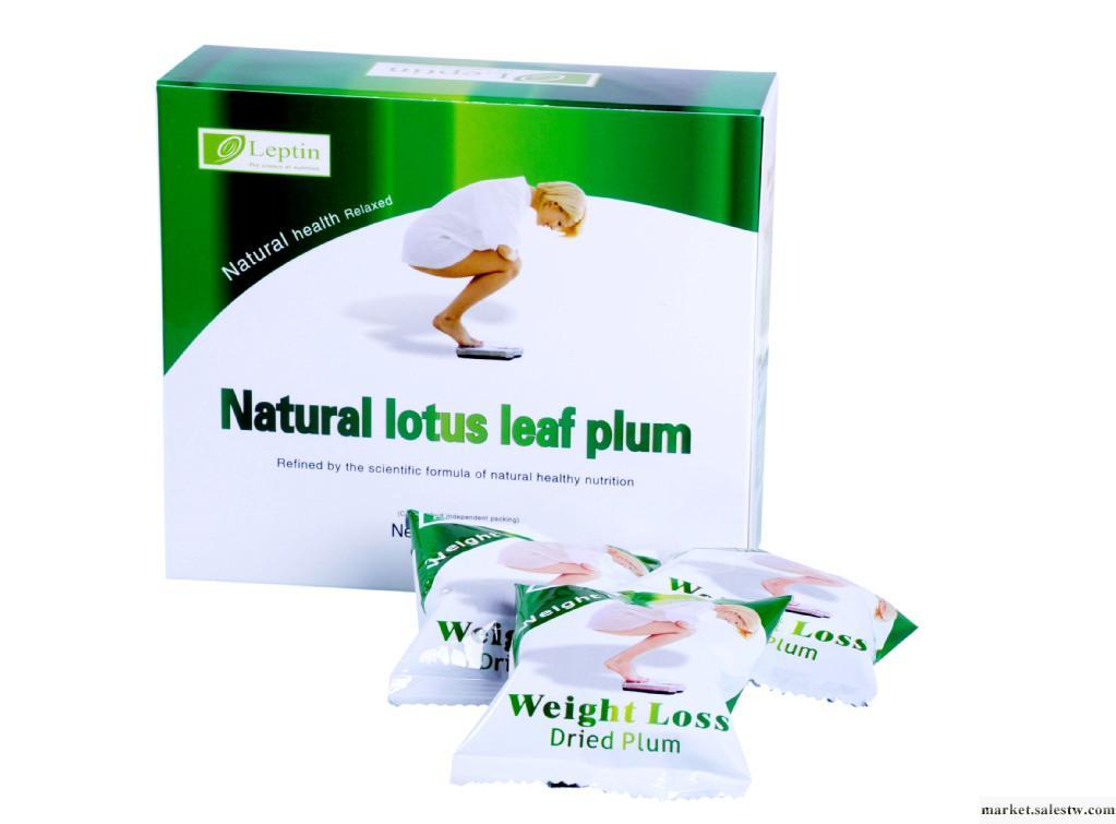 供應立普婷立普婷leptin 天然荷葉輕盈工廠,批發,進口,代購