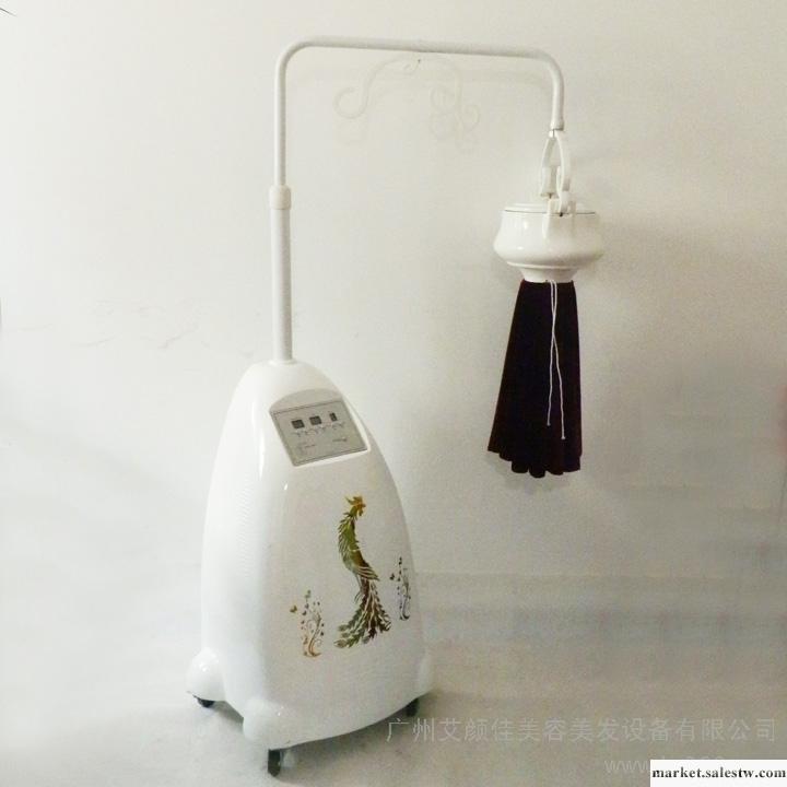 供應廠家直銷養生艾炙儀 無煙艾灸儀 百年太極神炙儀器工廠,批發,進口,代購