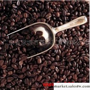 供應越南進口咖啡豆 威拿咖啡豆500g工廠,批發,進口,代購
