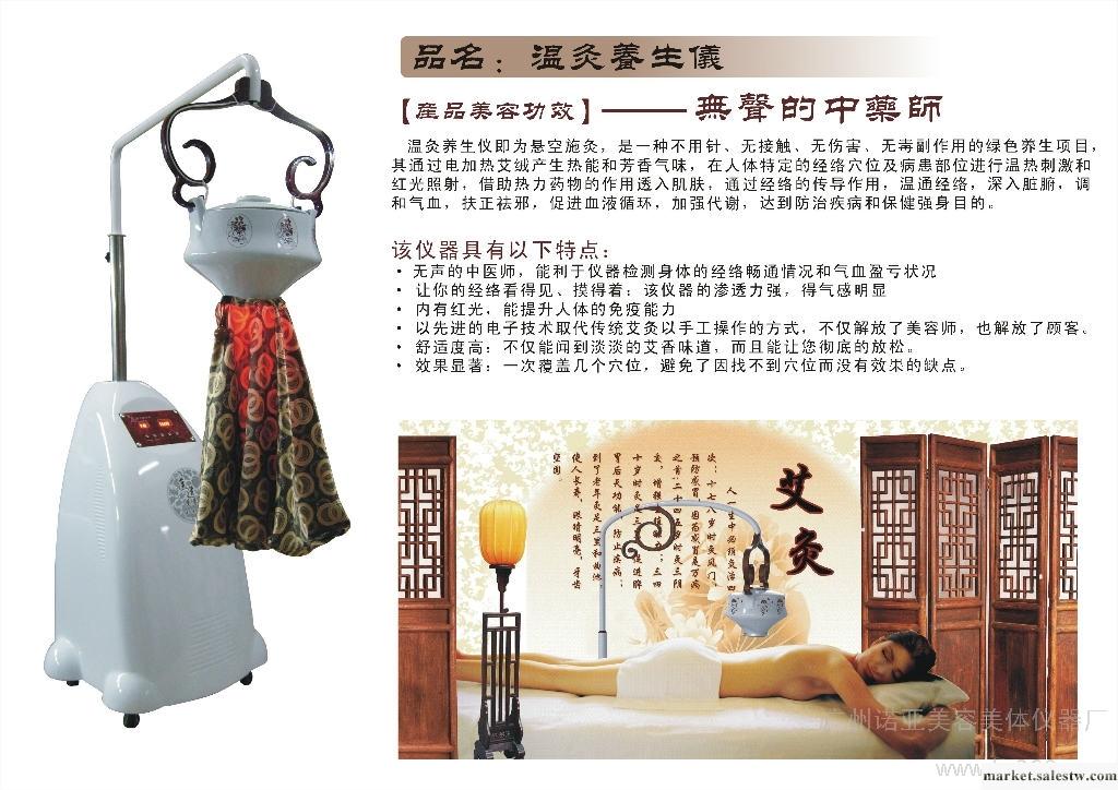 供應諾亞諾亞NY-335養生艾灸儀工廠,批發,進口,代購