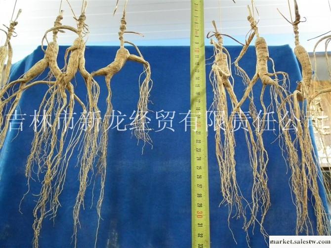 供應就是土生土長的長白山脈人參３０年以上林下籽山參人參工廠,批發,進口,代購