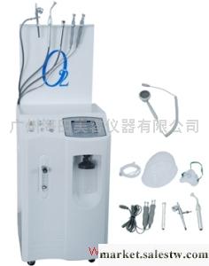 供應麗亞注氧活膚儀工廠,批發,進口,代購