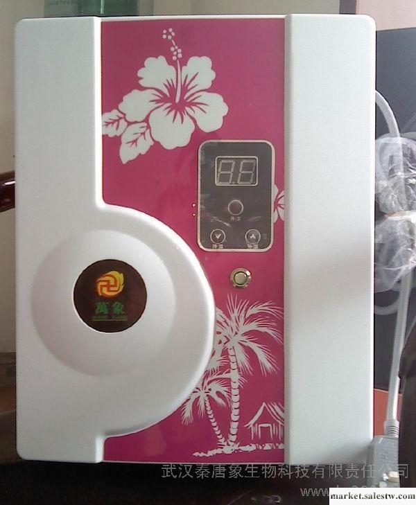 供應萬象結腸水療儀,洗腸儀,洗腸機,排毒儀,美容養顏,康復養生工廠,批發,進口,代購