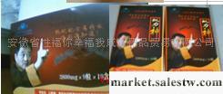 供應蟻力神10粒/瓶 壯陽性保健品 男性用品 夫妻成人用品工廠,批發,進口,代購