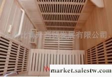 供應廠家供應蒸好頻譜屋 頻譜能量屋 頻譜養生屋貨到付款 春節特價工廠,批發,進口,代購