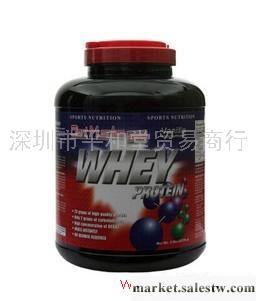 供應巨人Giant100％純乳清蛋白粉 1磅 2磅工廠,批發,進口,代購