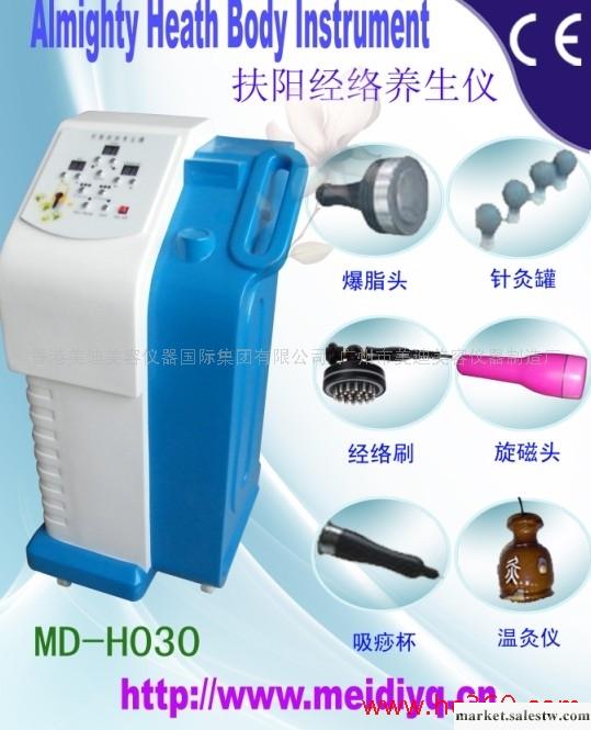 供應美迪科技扶陽經絡養生儀工廠,批發,進口,代購
