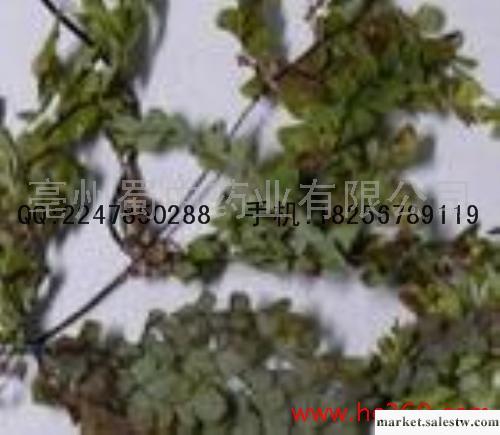 供應剪刀草工廠,批發,進口,代購
