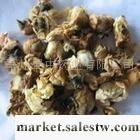供應大量蠶豆花 白扁豆花工廠,批發,進口,代購