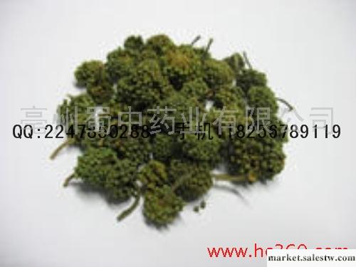 供應三七花工廠,批發,進口,代購