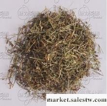 供應天蓬草工廠,批發,進口,代購