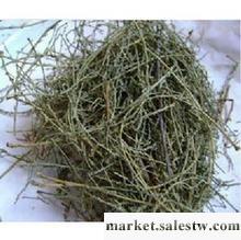 供應供應西河柳工廠,批發,進口,代購