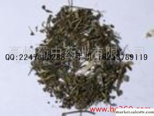 供應大量扶芳藤工廠,批發,進口,代購