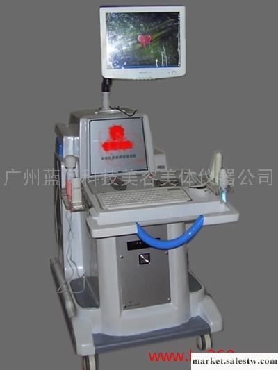 供應藍海科技LH-SZ生殖養生檢測儀#生殖養生項目工廠,批發,進口,代購