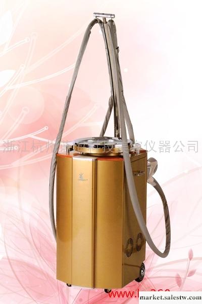 供應藍海科技德國LD-M6美容儀，M6纖體儀的作用，嘉興RF射頻美容儀工廠,批發,進口,代購