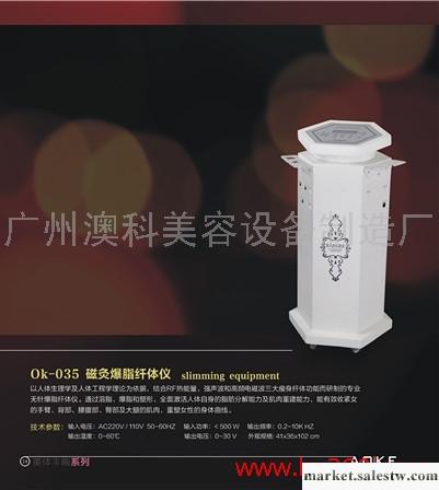 供應磁灸爆脂纖體儀減肥儀器工廠,批發,進口,代購