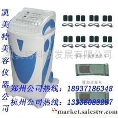供應凱美特忻州最火爆的減肥項目成熟的減肥方工廠,批發,進口,代購