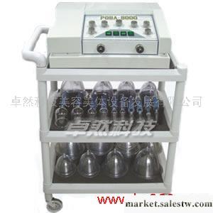 供應卓然科技ZR-F9019塑身儀器 北京美容儀器,豐胸儀器,減肥儀器,工廠,批發,進口,代購