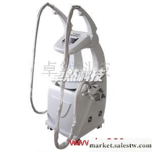 供應韶關卓然科技ZR-1101減肥儀器 最優秀的美容儀器廣場工廠,批發,進口,代購
