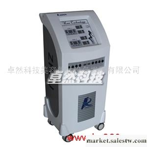 供應卓然科技ZR-J0101減肥儀 超能雙人減肥儀器 2012版減肥專家工廠,批發,進口,代購
