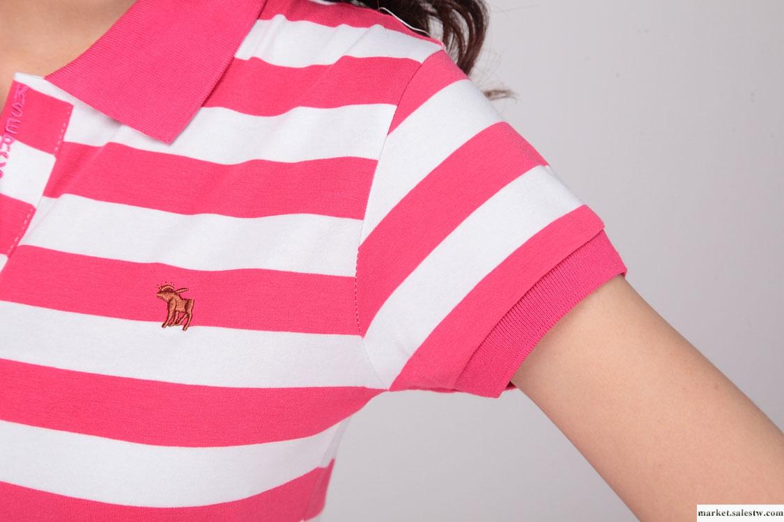 夏季新品連衣裙韓版T恤短袖條紋女款夏裝修身女式女士女裝翻領女工廠,批發,進口,代購
