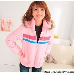 供應女士棉衣，棉襖，棉服批發，潮流韓版短款立領連帽拼接橫條亮色棉衣工廠,批發,進口,代購