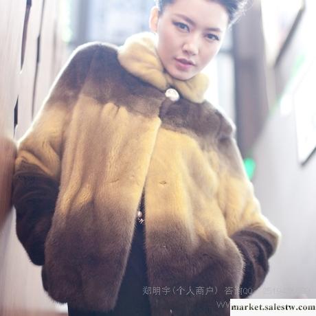 供應 MOTOUL 進口水貂 韓版整貂翻領水貂皮草外套女 奢華必備 SD8024工廠,批發,進口,代購