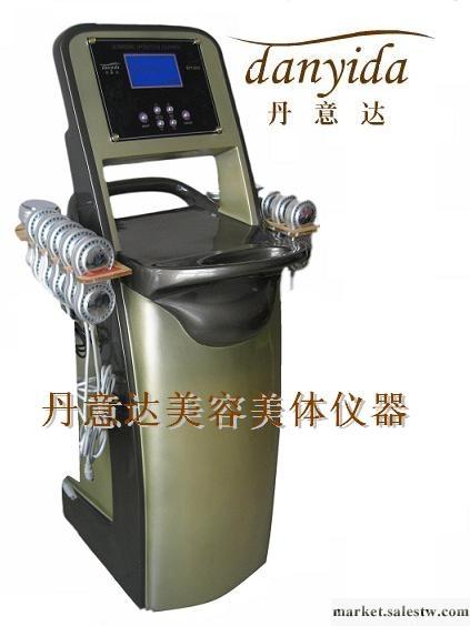 供應丹意達DYT-2010瘦身專家（新品）減肥儀器工廠,批發,進口,代購