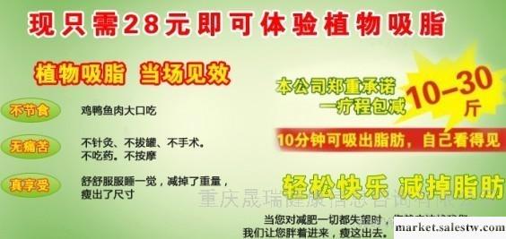 供應現只需28元即可體驗植物吸脂，重慶締康美健康減肥專家工廠,批發,進口,代購