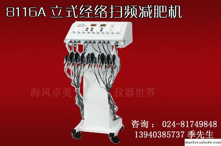 供應8116A立式經絡掃頻減肥儀/最新減肥纖體設備/最新減肥儀器/美容院專用儀器工廠,批發,進口,代購