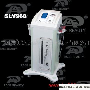 供應蕾絲SLV960減肥嫩膚美容儀工廠,批發,進口,代購