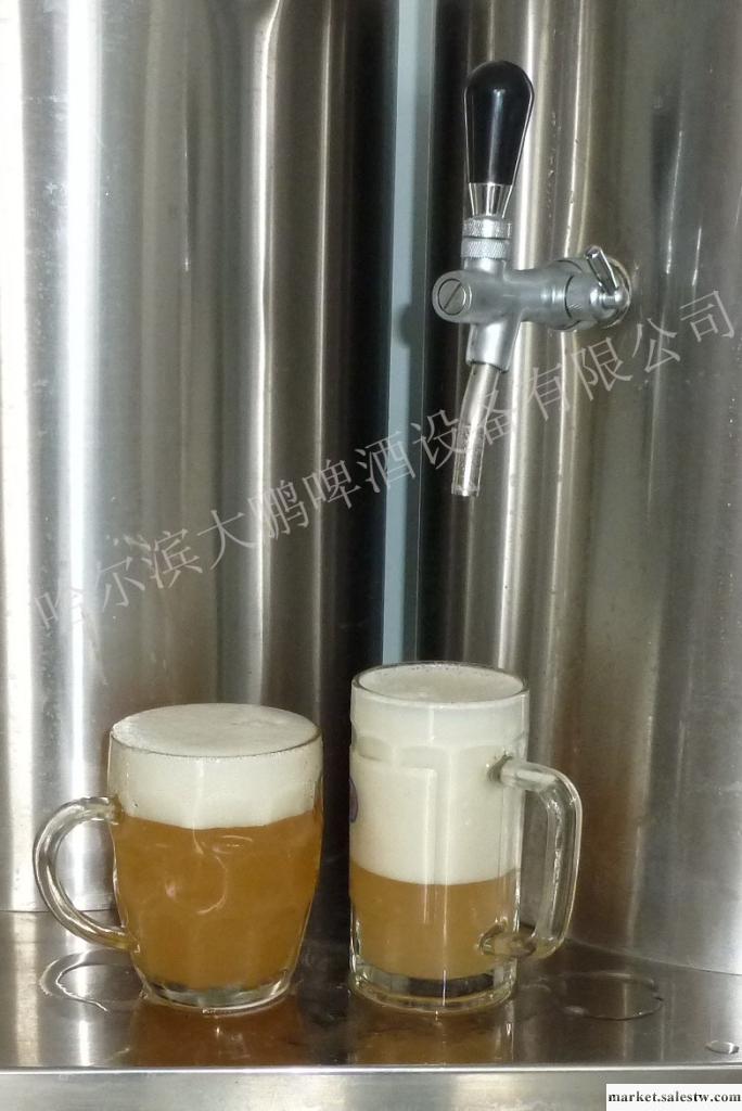 供應大鵬啤酒設備DP--30大鵬家庭釀制鮮啤酒設備工廠,批發,進口,代購