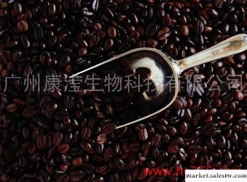 供應專業提供OEM、ODM左旋肉堿減肥咖啡工廠,批發,進口,代購