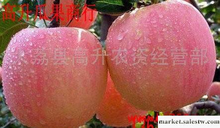 供應蘋果Apple/陜西紅富士蘋果/減肥蘋果/洛川蘋果求購抗癌水果/高升水果代辦工廠,批發,進口,代購