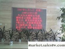 供應廣州瑞寶p7.62門頭紅色廣告LED屏工廠,批發,進口,代購