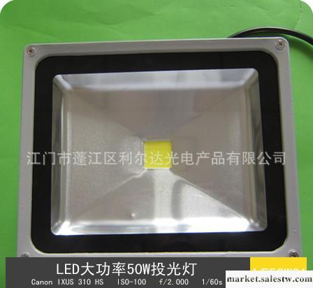 廠家直銷大量集成大功率LED50W泛光燈LT50W01工廠,批發,進口,代購
