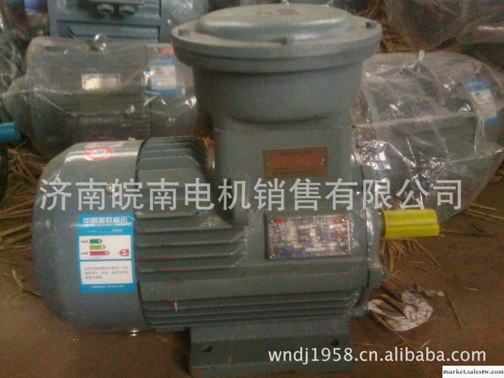 供應南華   皖南   WNMYFB-280M4IP65型電機、三相異步電動機工廠,批發,進口,代購
