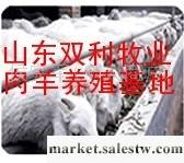 供應改良育肥肉羊種羊 優質小山羊小綿羊 繁殖母羊種公羊 改良肉羊長勢快出肉率高工廠,批發,進口,代購