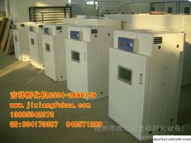 供應南寧 柳州全自動孵化機 電孵機 控制器孵化設備工廠,批發,進口,代購