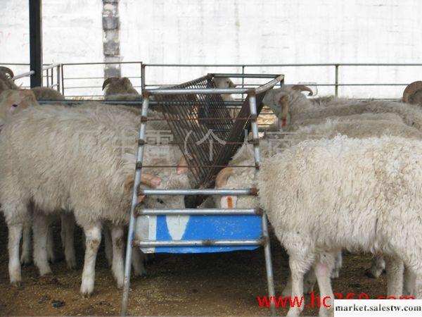 供應行運山東改良肉羊養殖場肉羊養殖技術工廠,批發,進口,代購