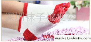 供應襪子 五指襪 女 日系可愛 混紡材質 柔軟舒適 2-216工廠,批發,進口,代購