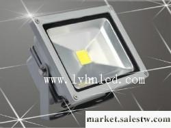供應大功率LED泛光燈 20W大功率LED泛光燈/LED投光燈工廠,批發,進口,代購