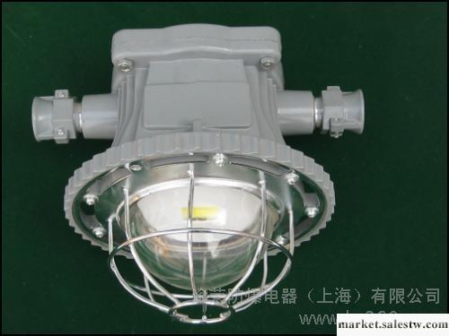 供應DGS30/127L(A)30W礦用隔爆型LED巷道燈工廠,批發,進口,代購