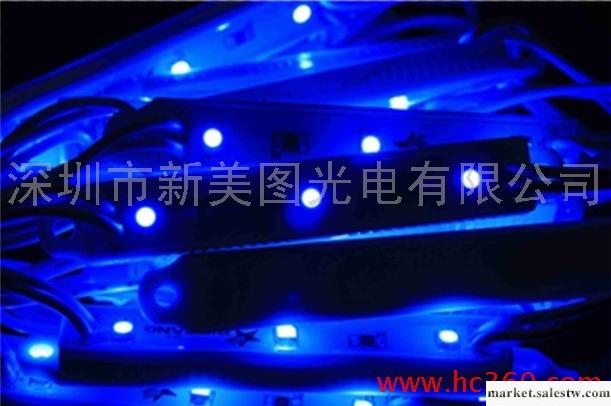 供應Grand-LED/高亮藍光/貼片5050/LED模組（3燈）工廠,批發,進口,代購