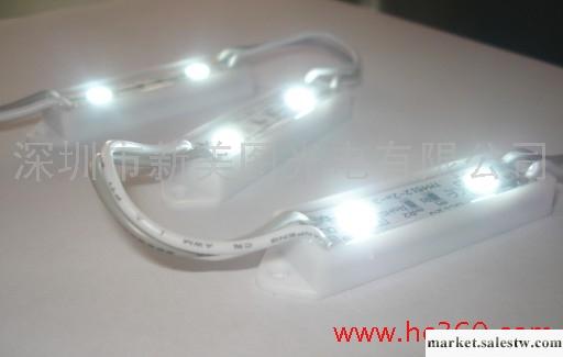 供應Grand-LED防水膠殼LED模組（高亮2燈）工廠,批發,進口,代購