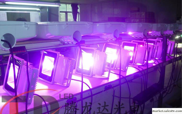 專業RGB LED投光燈（10-200W, 廠家直銷，歡迎來電咨詢）工廠,批發,進口,代購