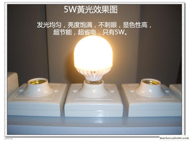 供應2012led球泡燈5w,led燈泡5w，黃光工廠,批發,進口,代購