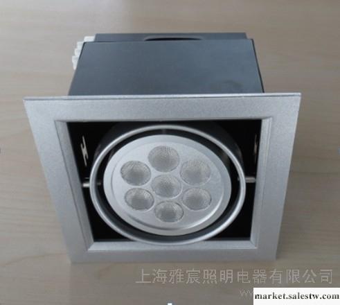 供應雅宸YC-DDL001照明LED燈具-單頭LED斗膽燈工廠,批發,進口,代購